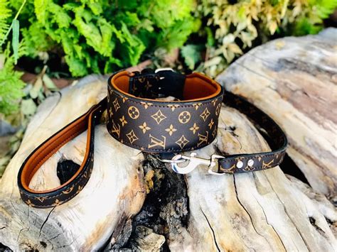 louis vuitton dog sweater|Louis Vuitton dog collar leash.